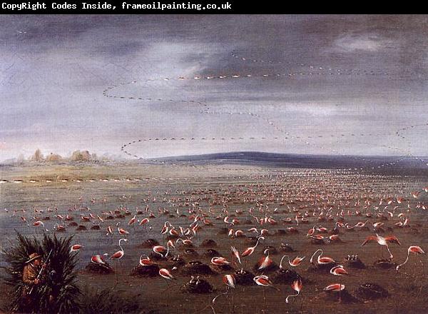 George Catlin Ambush for Flamingoes